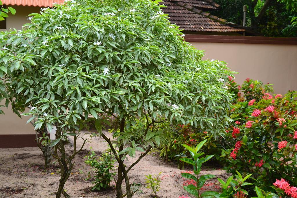 Tharavad Heritage Alappuzha Eksteriør billede